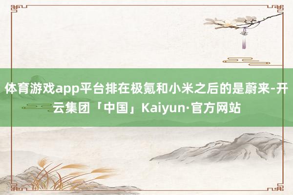 体育游戏app平台排在极氪和小米之后的是蔚来-开云集团「中国」Kaiyun·官方网站