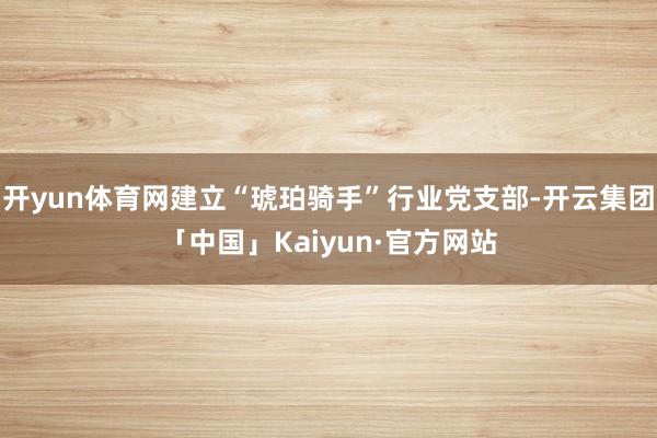 开yun体育网建立“琥珀骑手”行业党支部-开云集团「中国」Kaiyun·官方网站