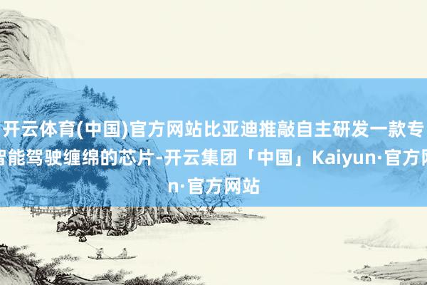 开云体育(中国)官方网站比亚迪推敲自主研发一款专为智能驾驶缠绵的芯片-开云集团「中国」Kaiyun·官方网站
